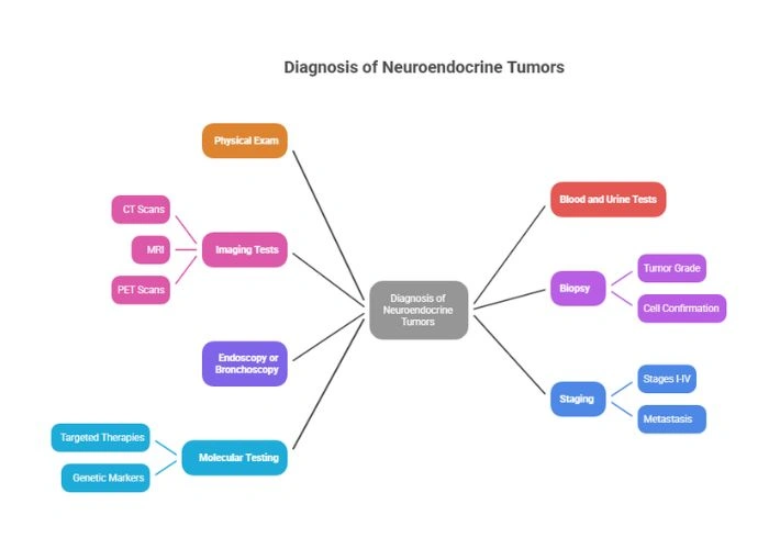 Diagnosis of Neuroendocrine Tumors
